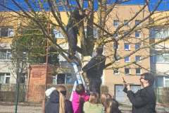 3b625ccc-bdac-4d94-8d87-0c468ee44703