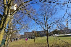 9c0fd81e-dc76-4d87-87e1-77a237d62be6