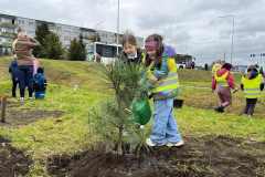 3c6ff175-80e0-4204-a799-473ffa7bd61b